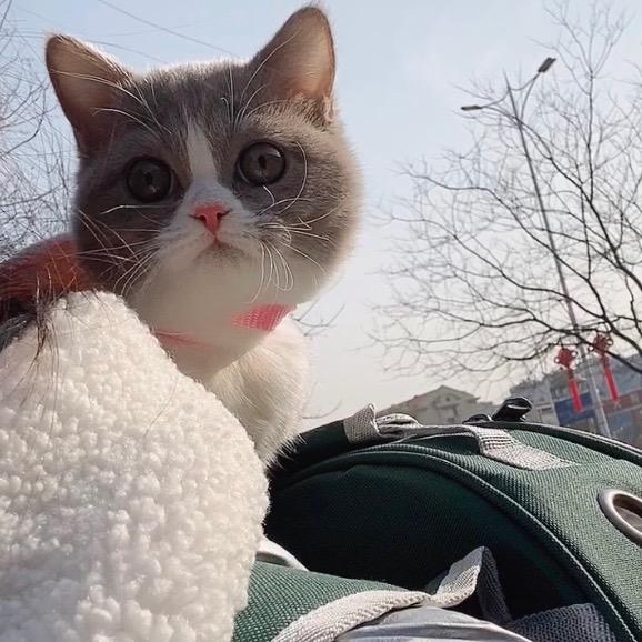 z方琪👄