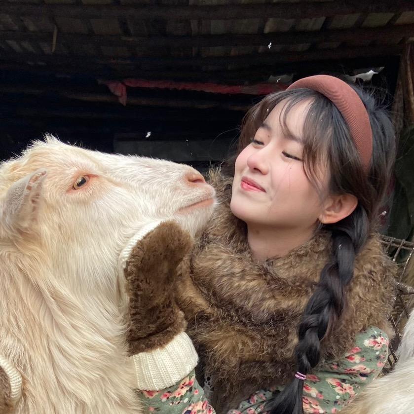 小李心心
