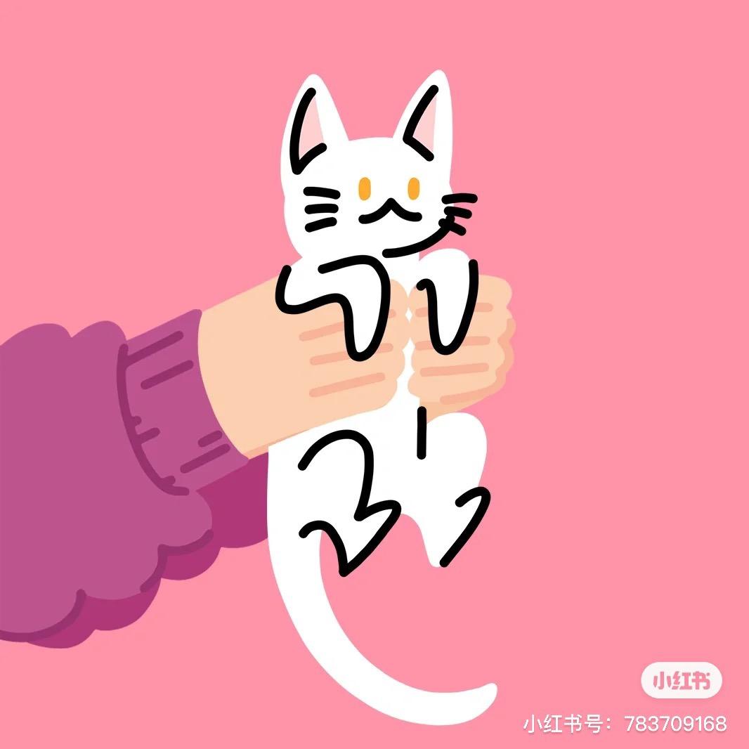 卷卷er
