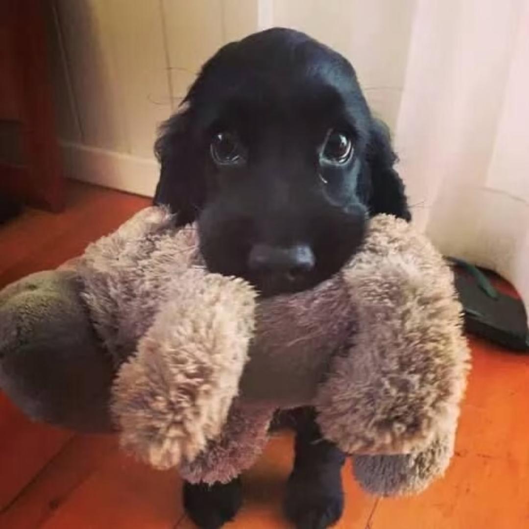 别总把事情弄得没意思