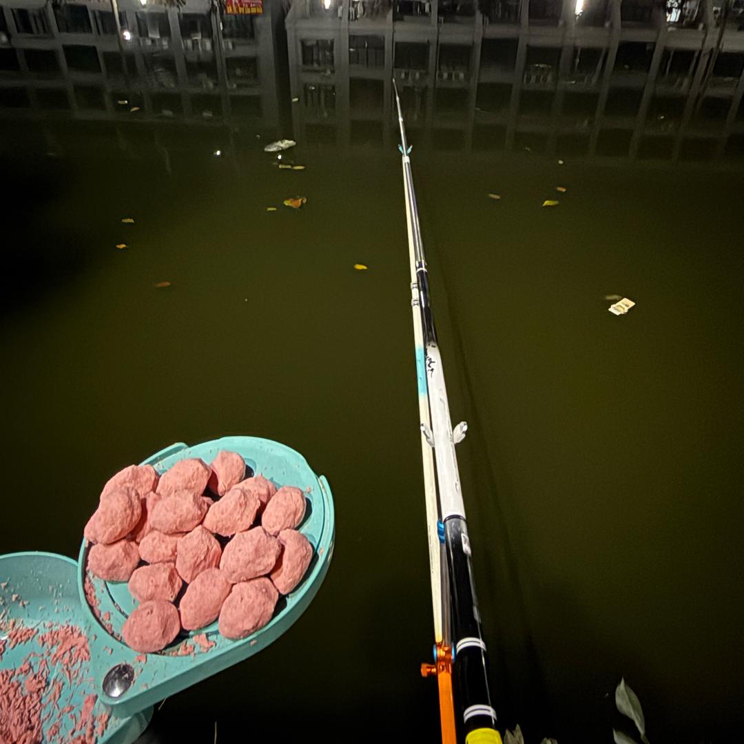 🎣剁椒鱼头ゾ