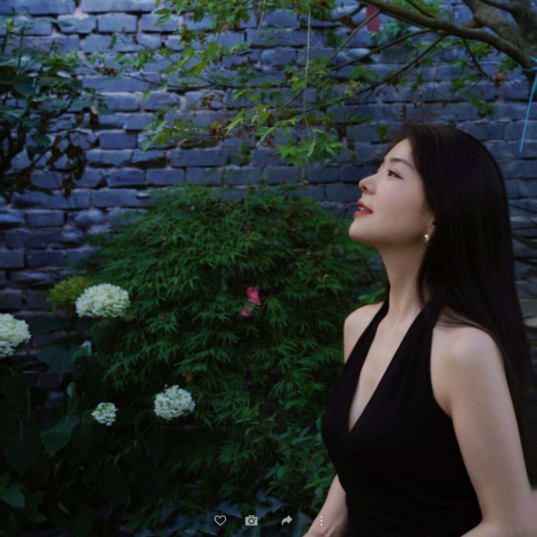芙蓉🪷