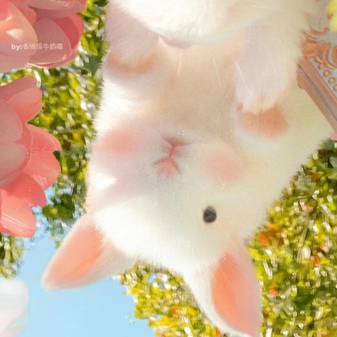 就要自然醒