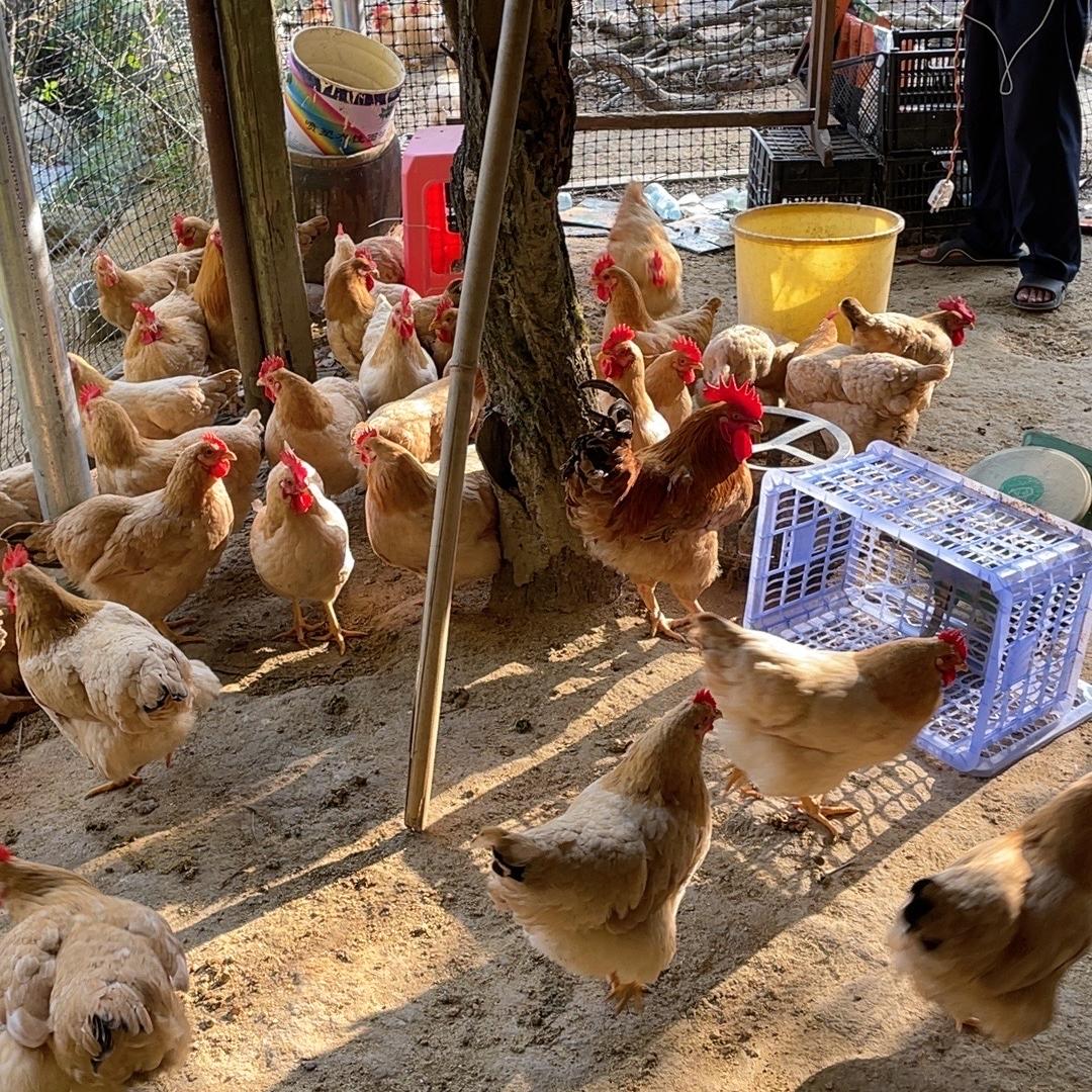 信宜厚裕农品创意屋