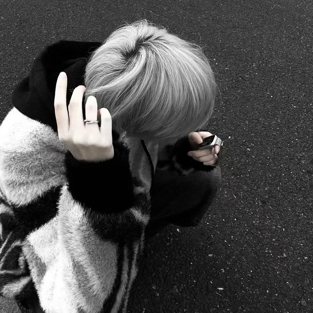 言✨