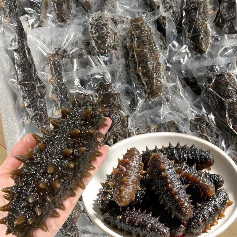 海物纪源头海参厂