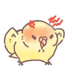 啊珍