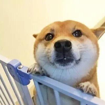 原琴波某人
