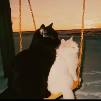 190