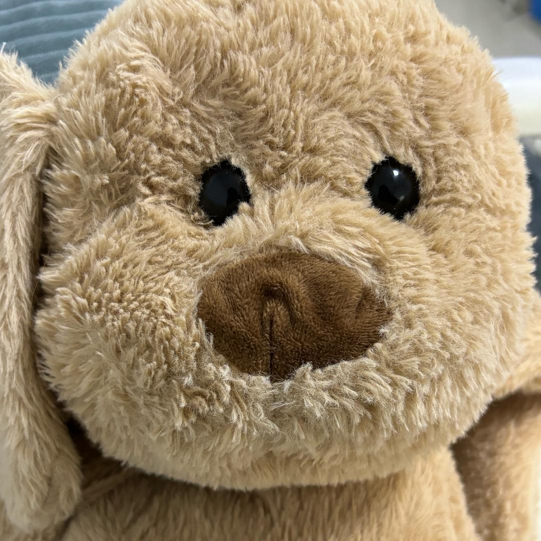 哇哈哈哈哈哈哈