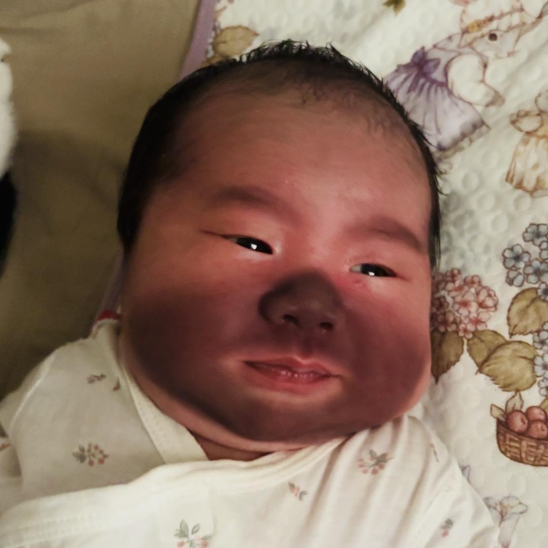 点点日记📝
