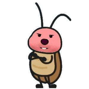 美味可爱绝育大老鼠