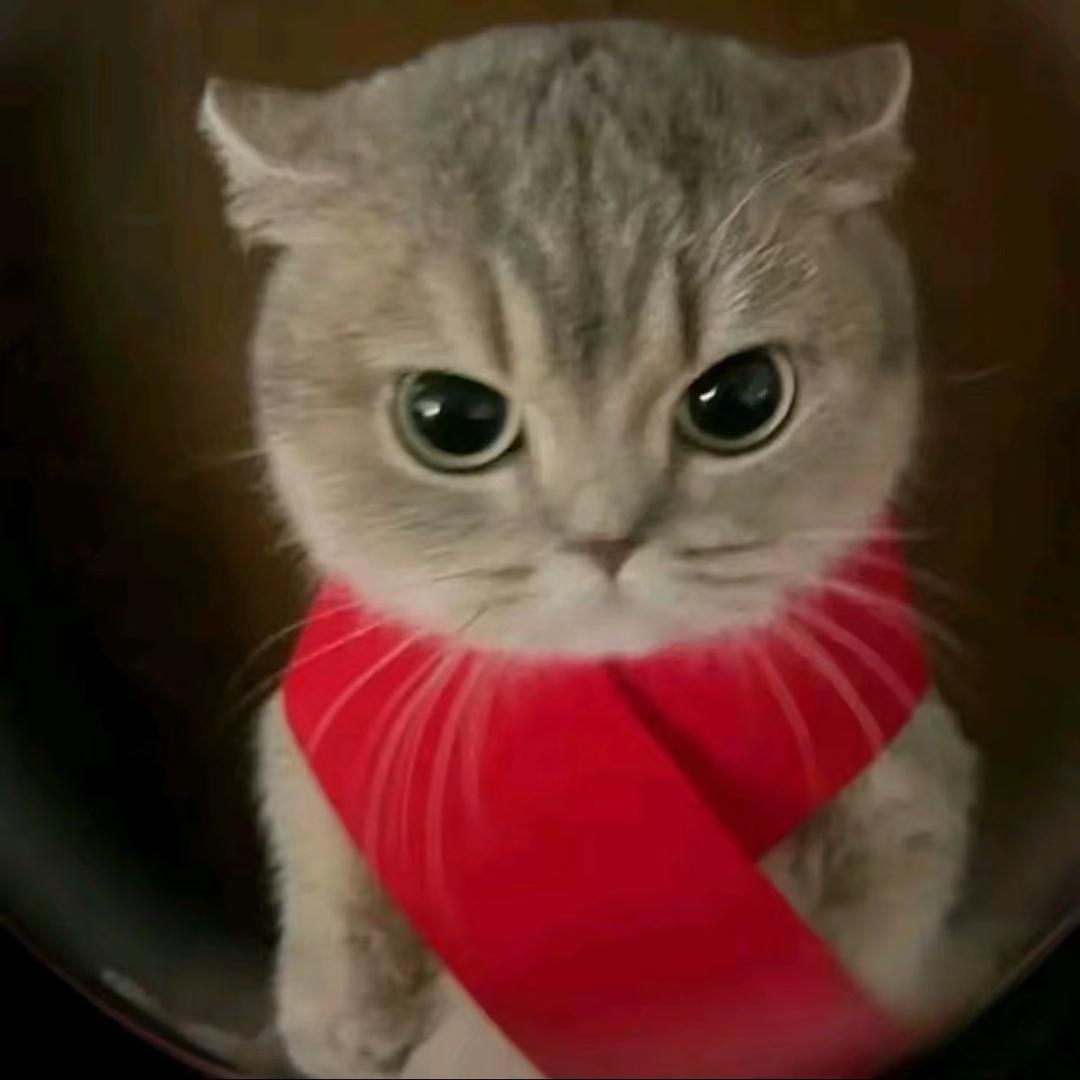 户外运动💪2号