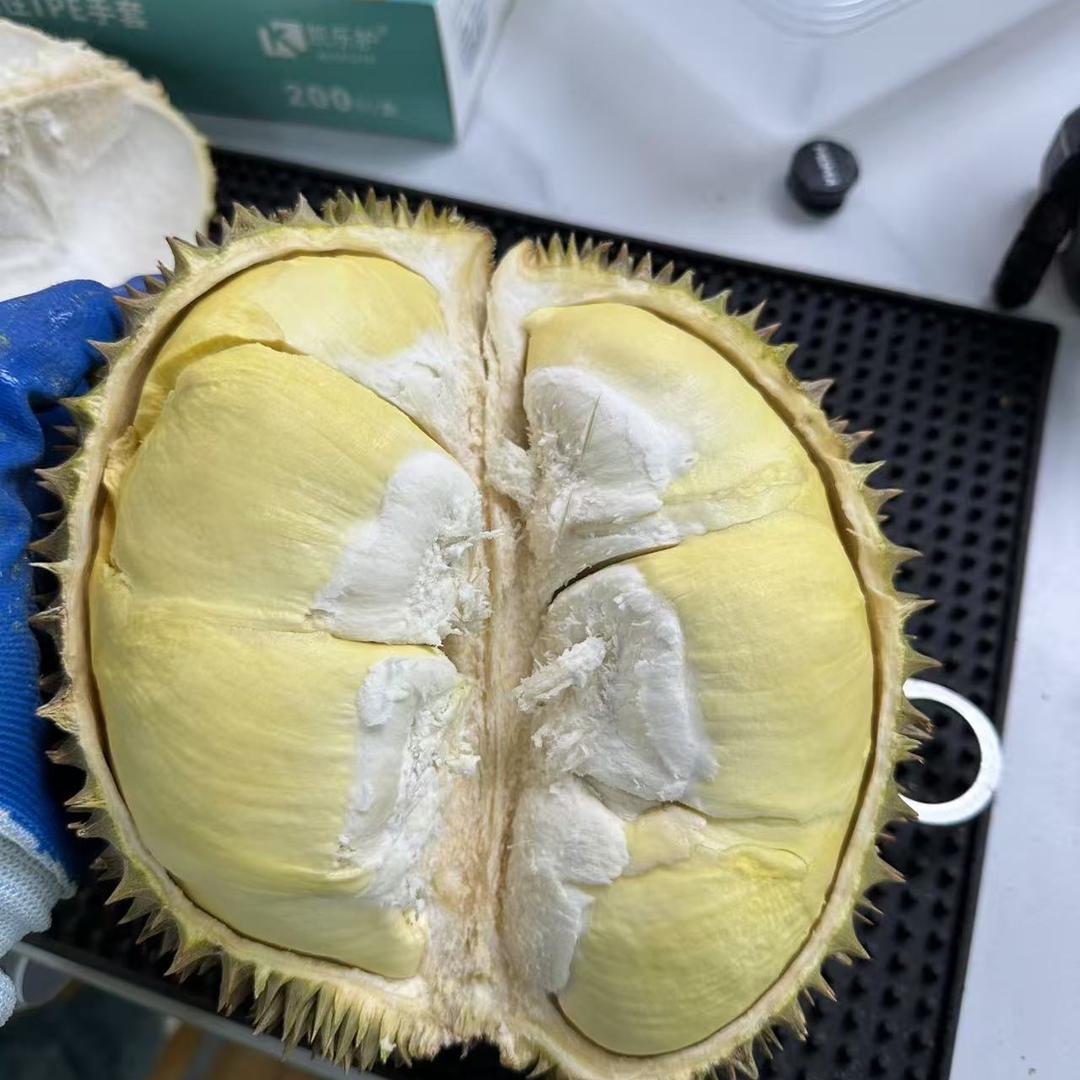 大象果果选榴莲