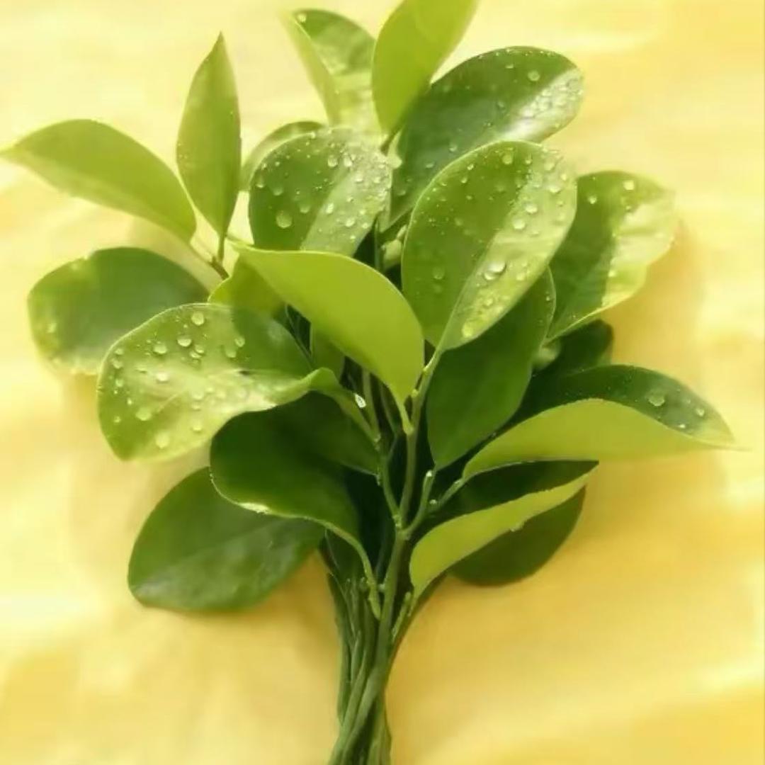 我的名字很好叫