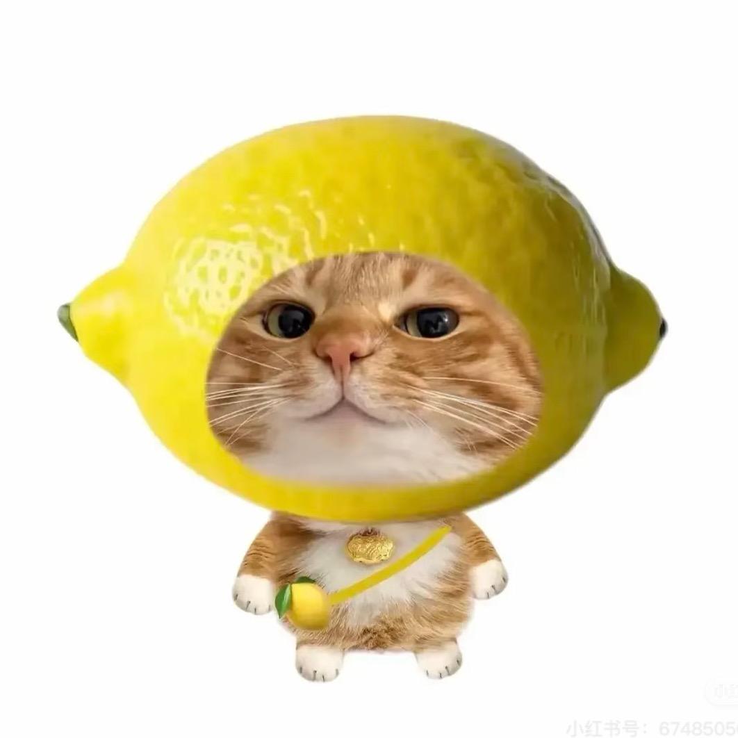 如果雨之后