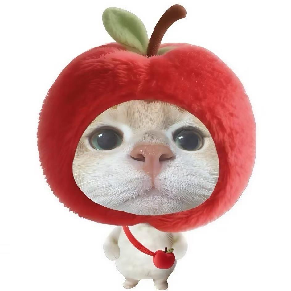 鸿