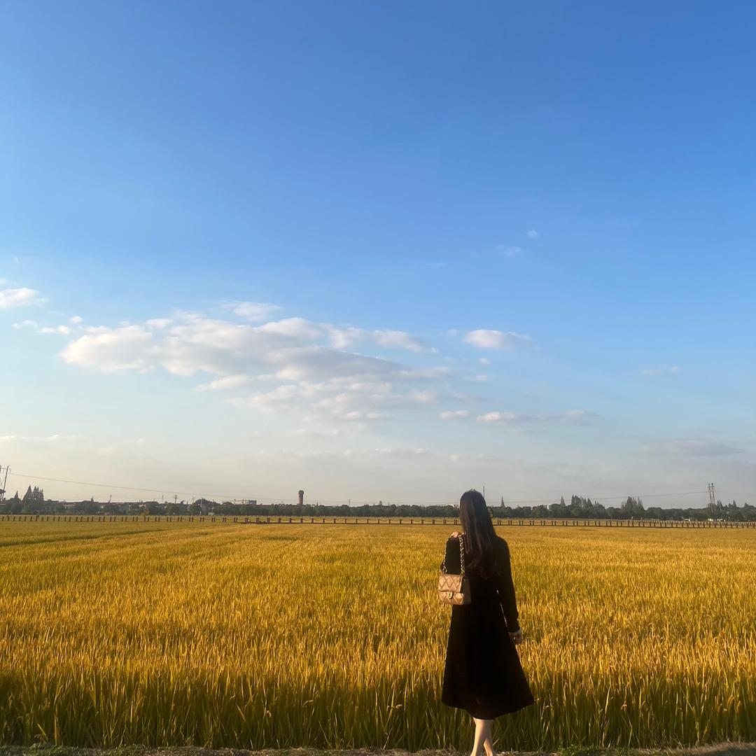 国际物流小李