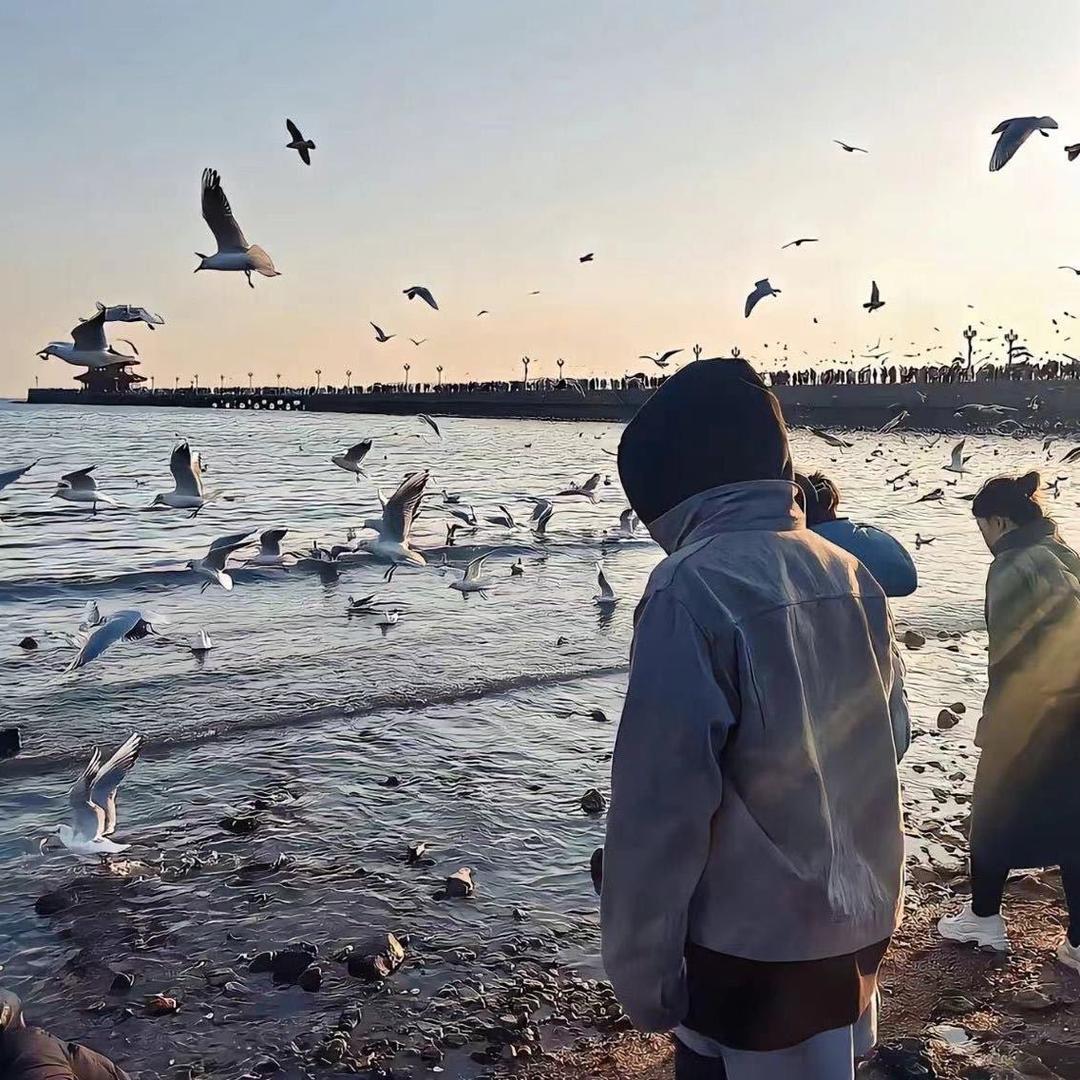 遗憾不該是我