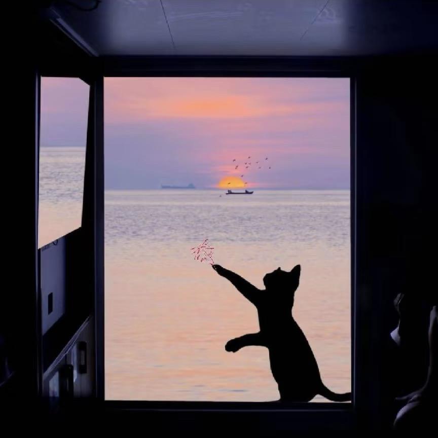 𝗞𝗶𝘁𝘁𝘆𝗹𝗶𝗶𝗼🍨