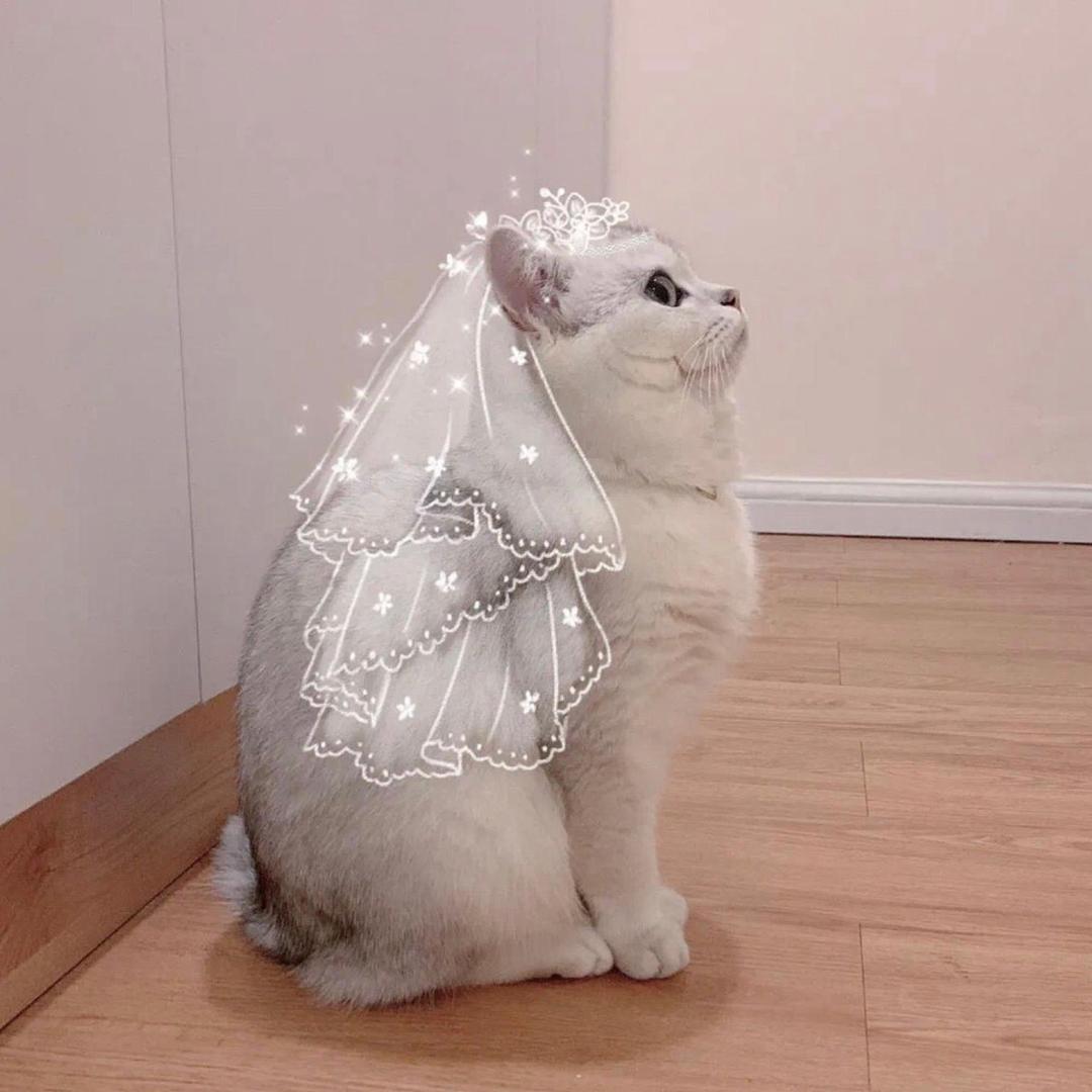 爱吃樱桃的小安然