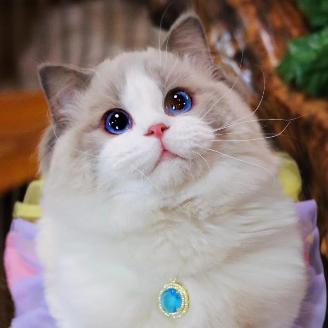 初伴一生