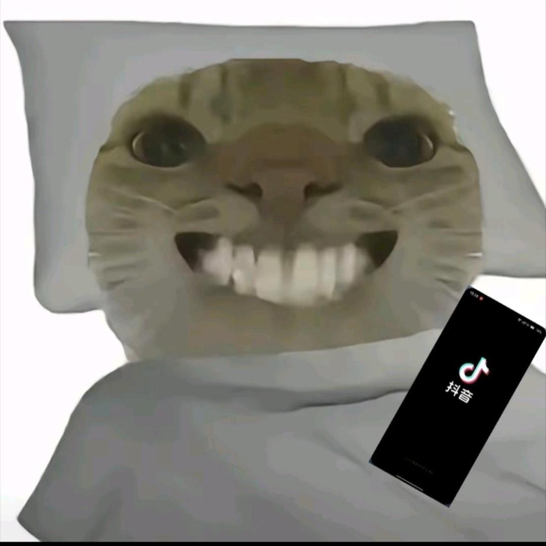 大学生跑刀鼠鼠