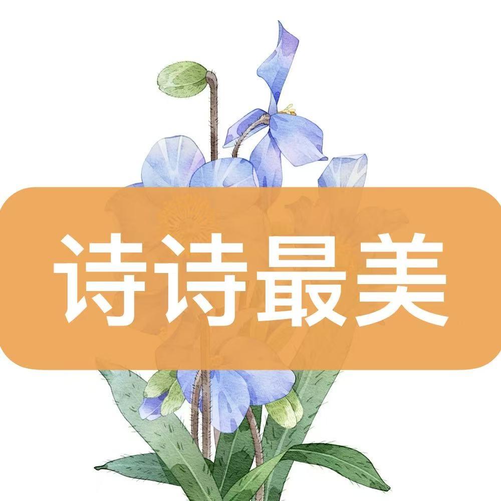 ℱ·浔召🐰