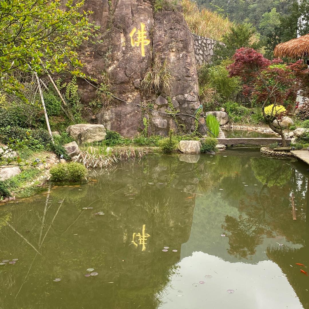 离暘
