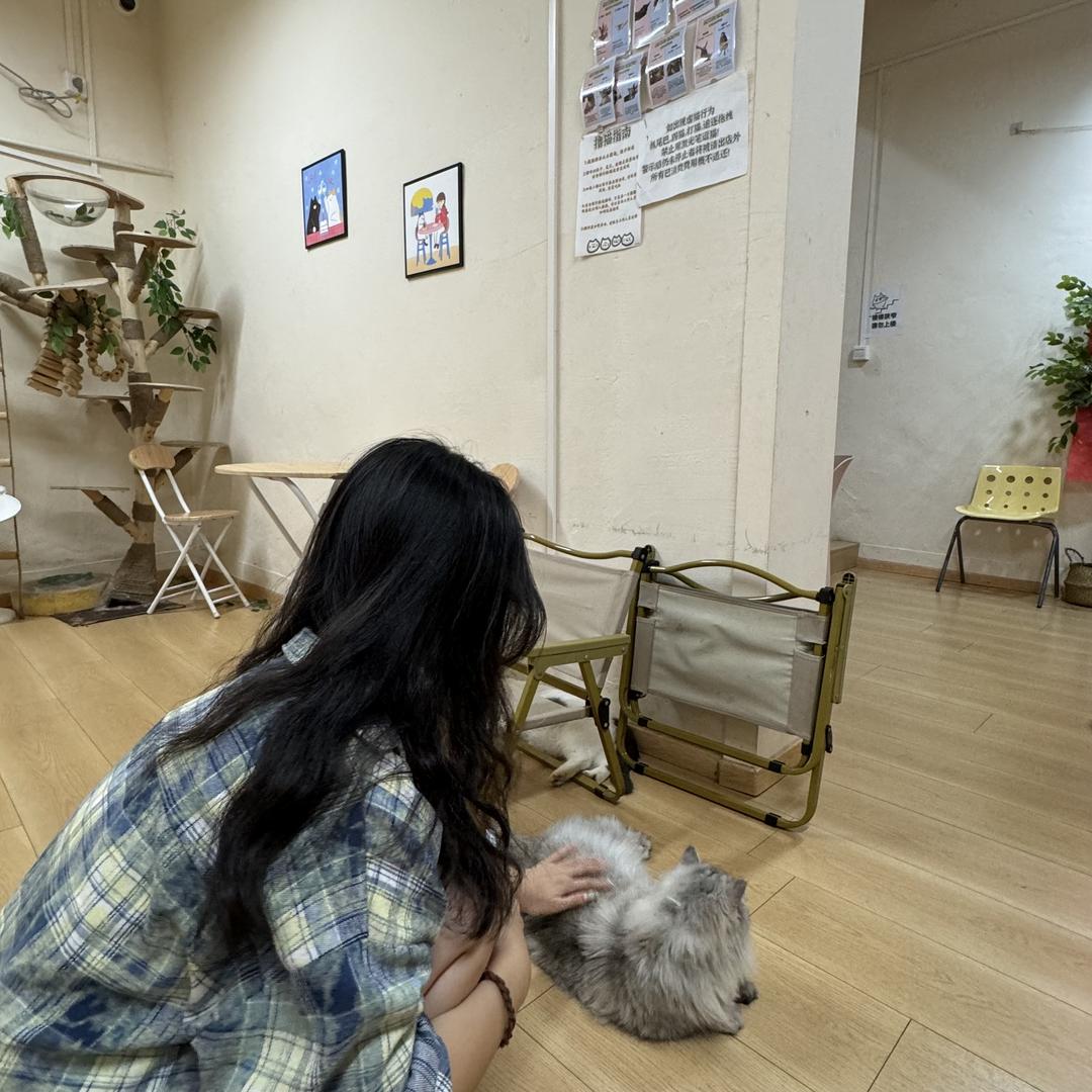 西柚.