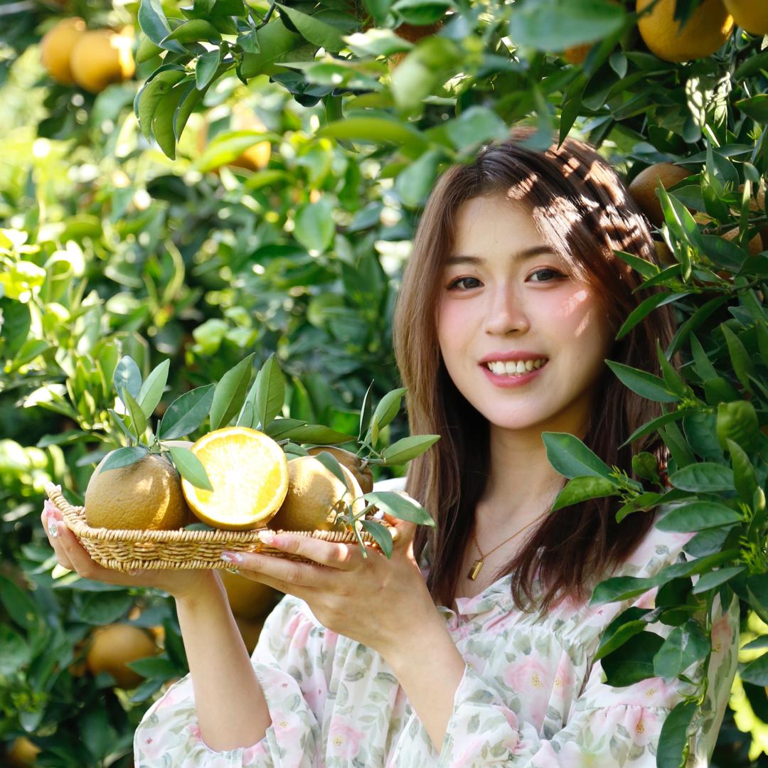 橙美人的三分地 农特小店