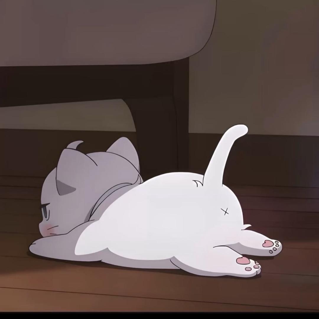 小可p