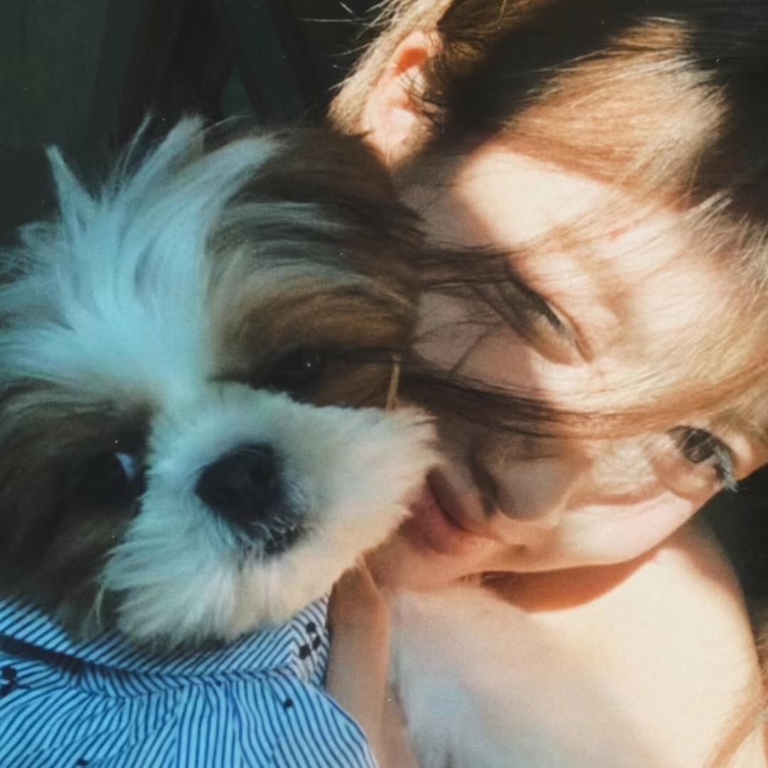 ㅤㅤㅤㅤㅤㅤㅤㅤㅤㅤㅤㅤㅤㅤㅤㅤㅤㅤㅤㅤ