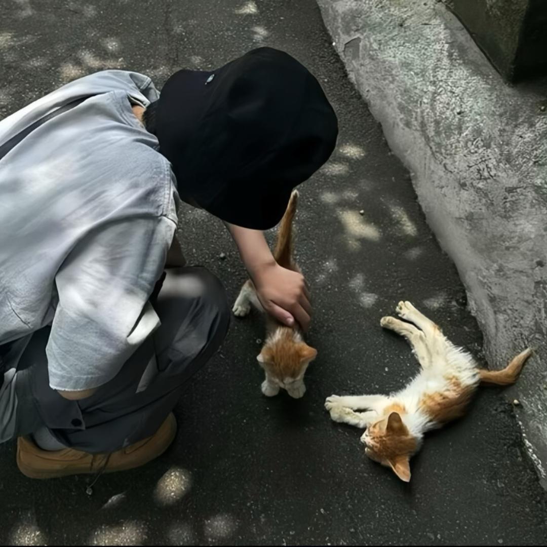 小柒爱睡觉🧸⁶ ² ⁹