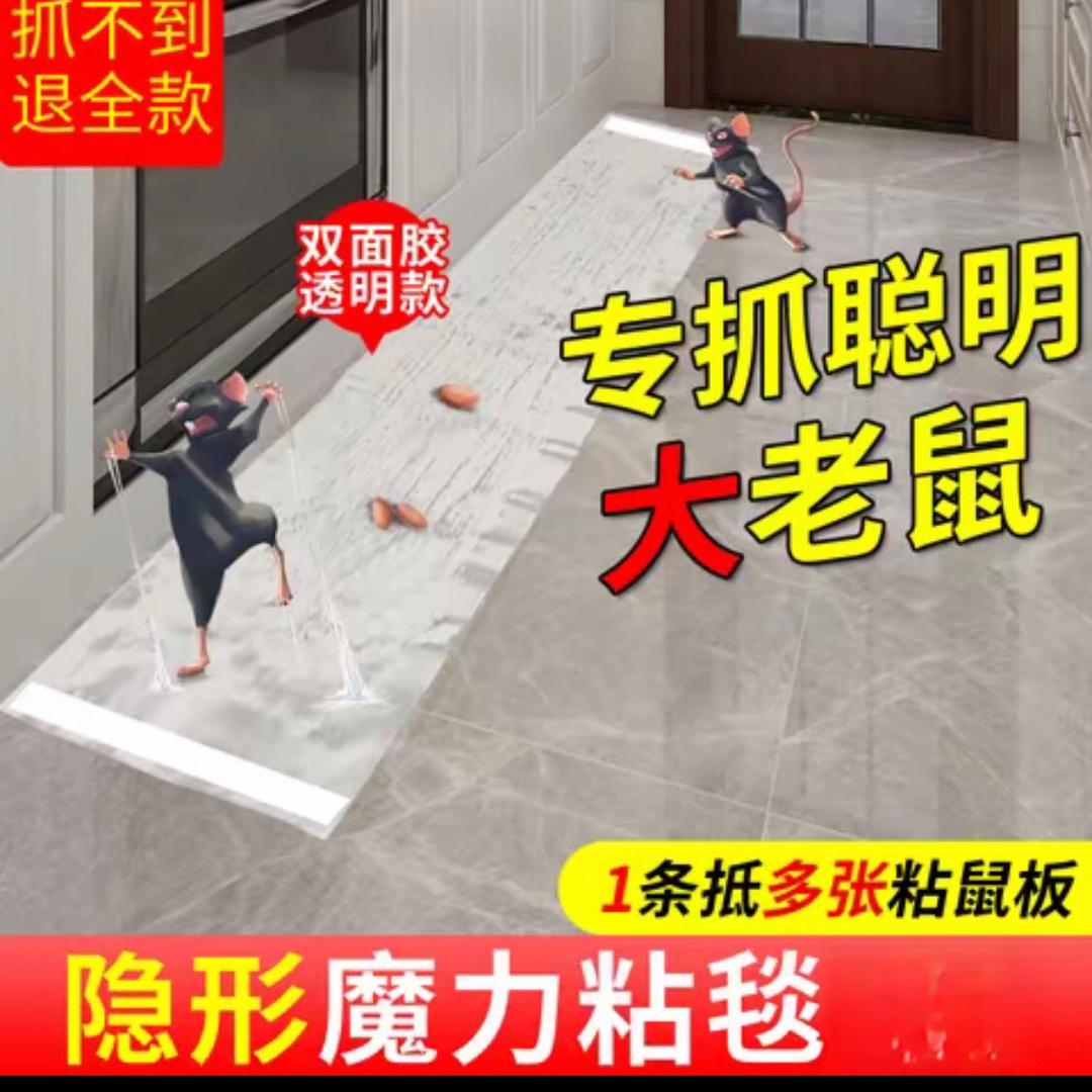 专和老鼠🐭过不去
