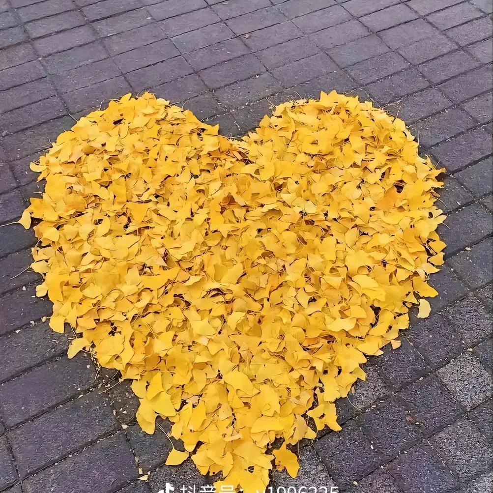 💕ꦿ҉好ᨶ႒ᩚ运ᥫᩣ໌້ᮨ加满✨