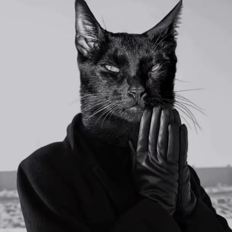 Masque