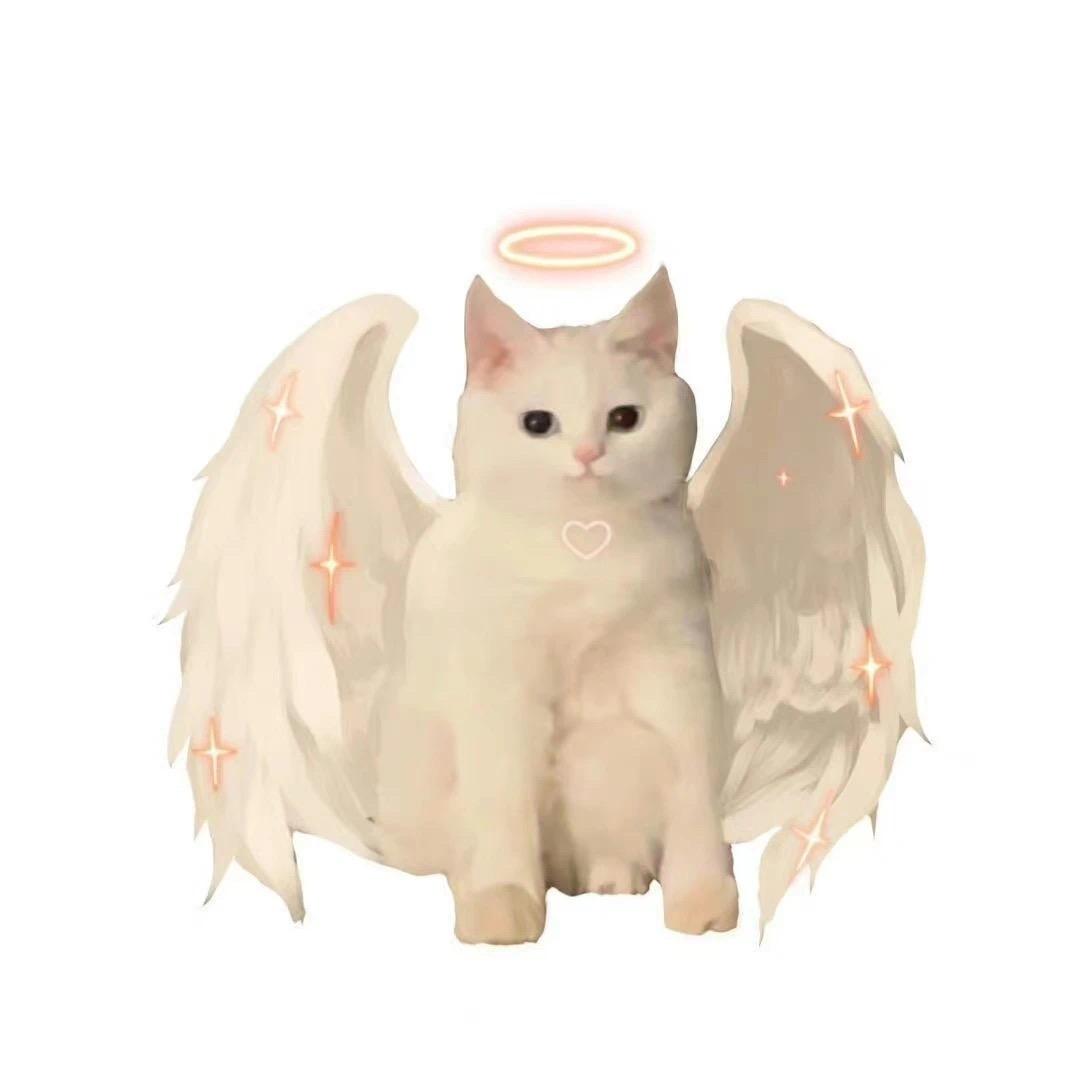 一只想飞的猫头像