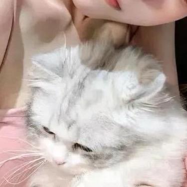 循环的緣꒰ ••