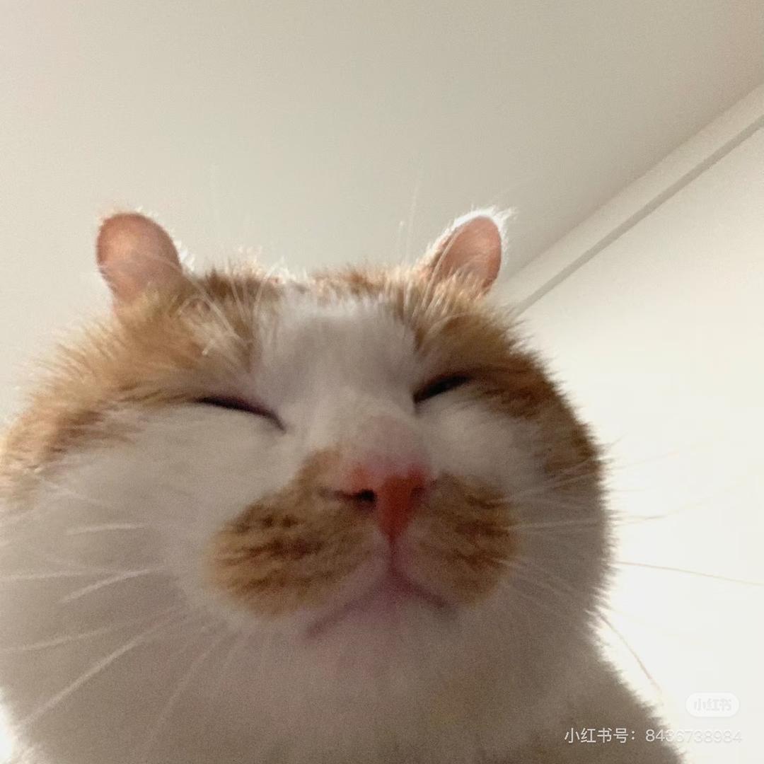 发发咕噜噜