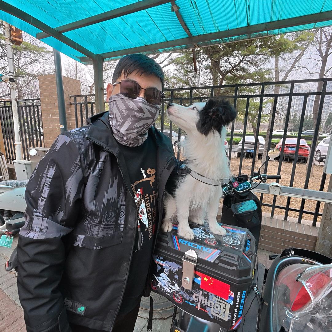 老杨和小柒