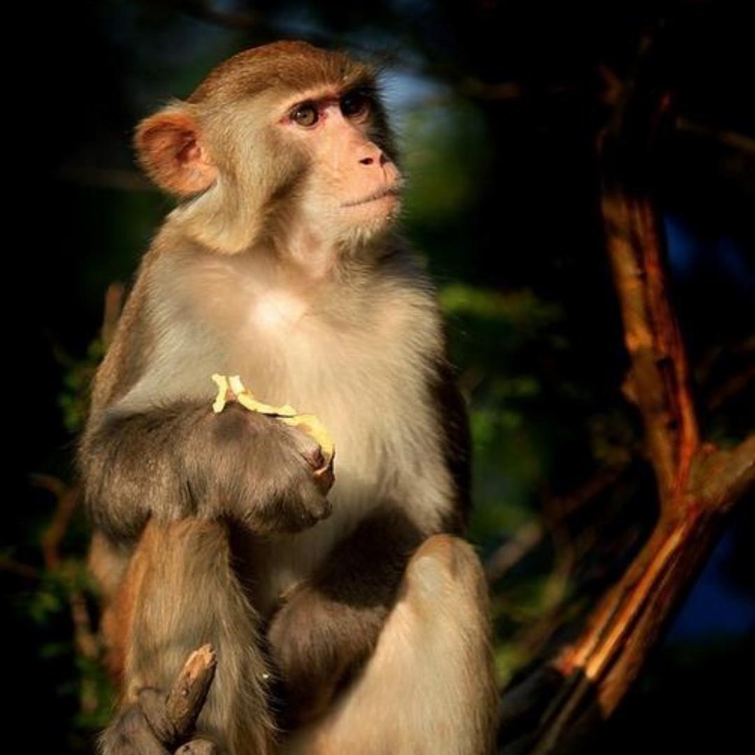 佳伟精品二手车行