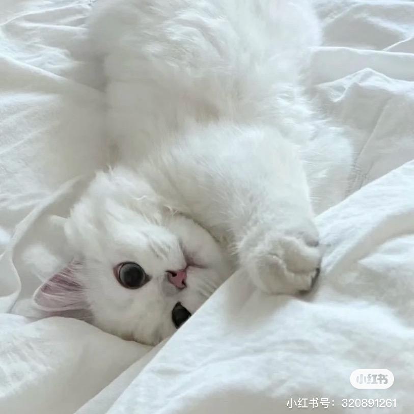 耶汁