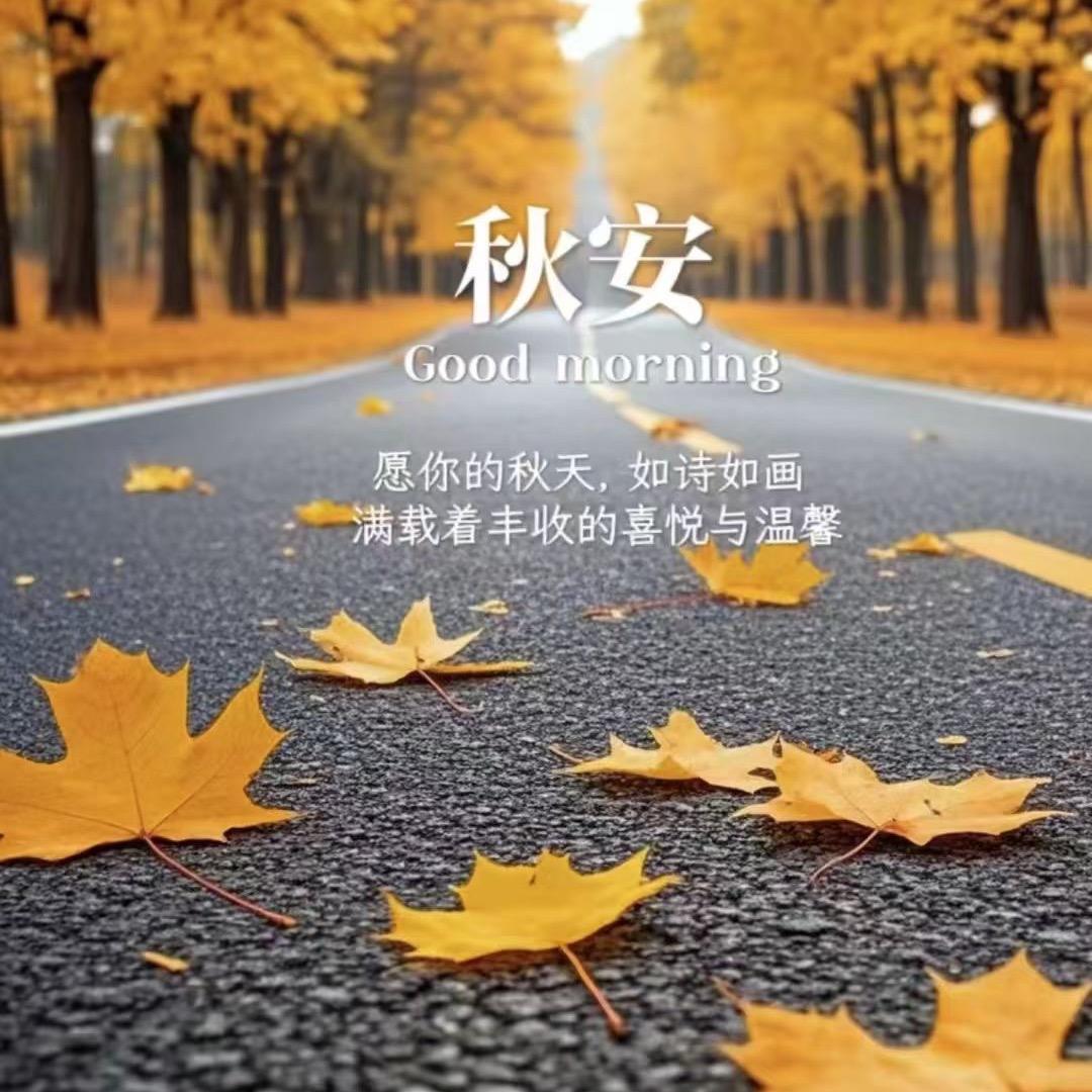圆圆的小店