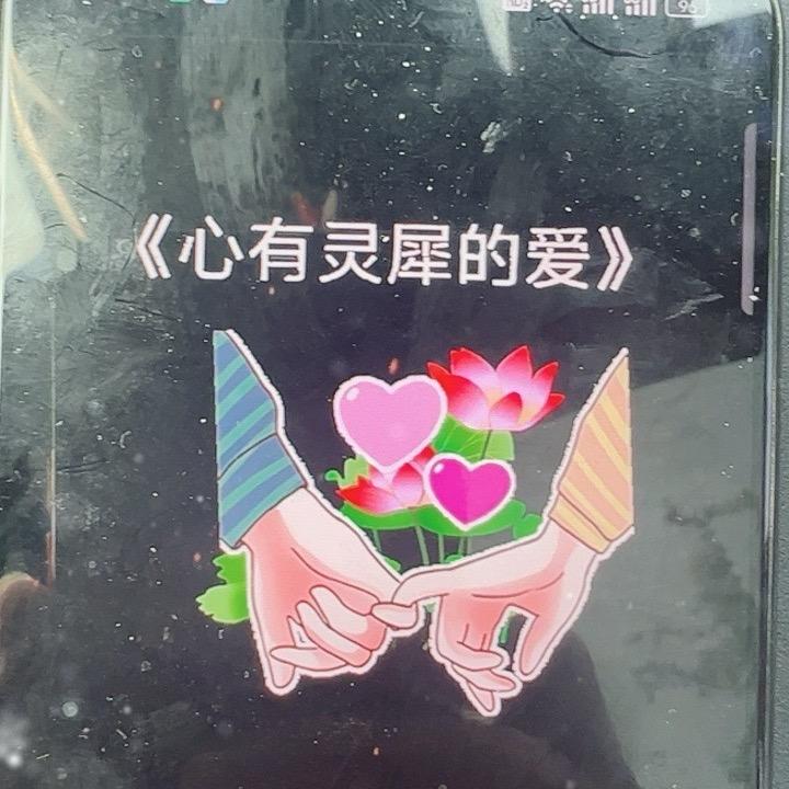 不念过往