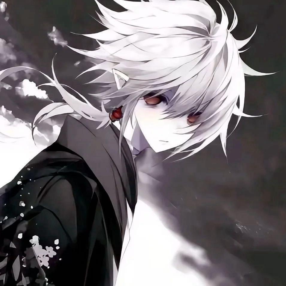 辞辰ovo（全国服射手）