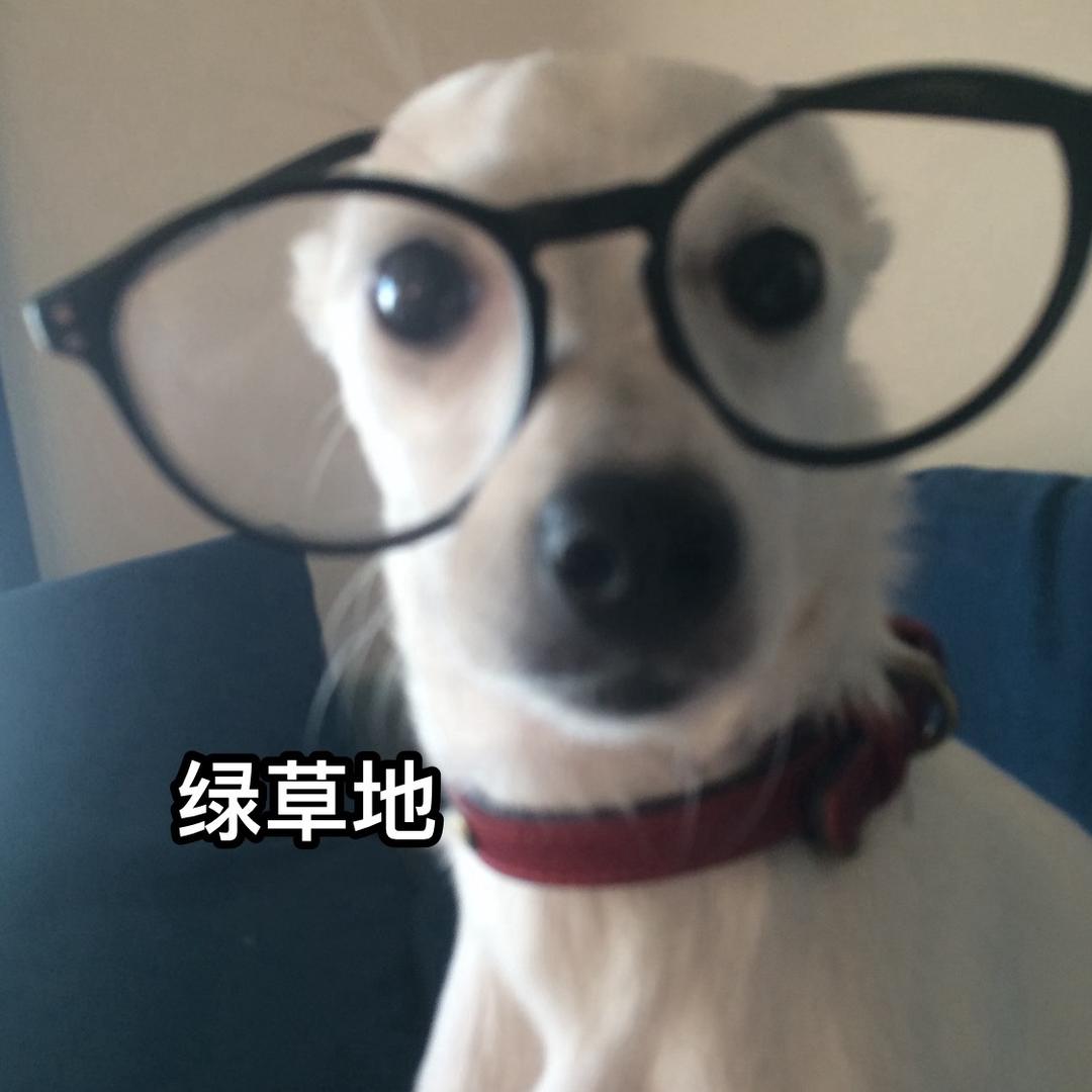 刚正不阿Max