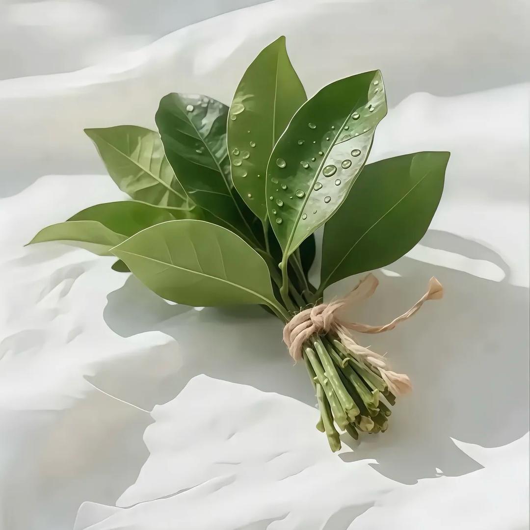 九🈷️ᴶᵁᴸᵞ