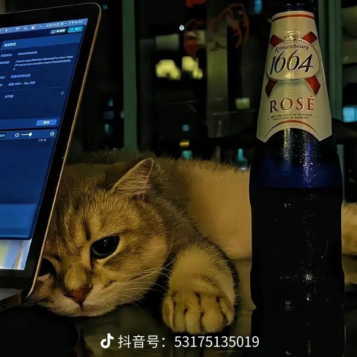 九零后有故事