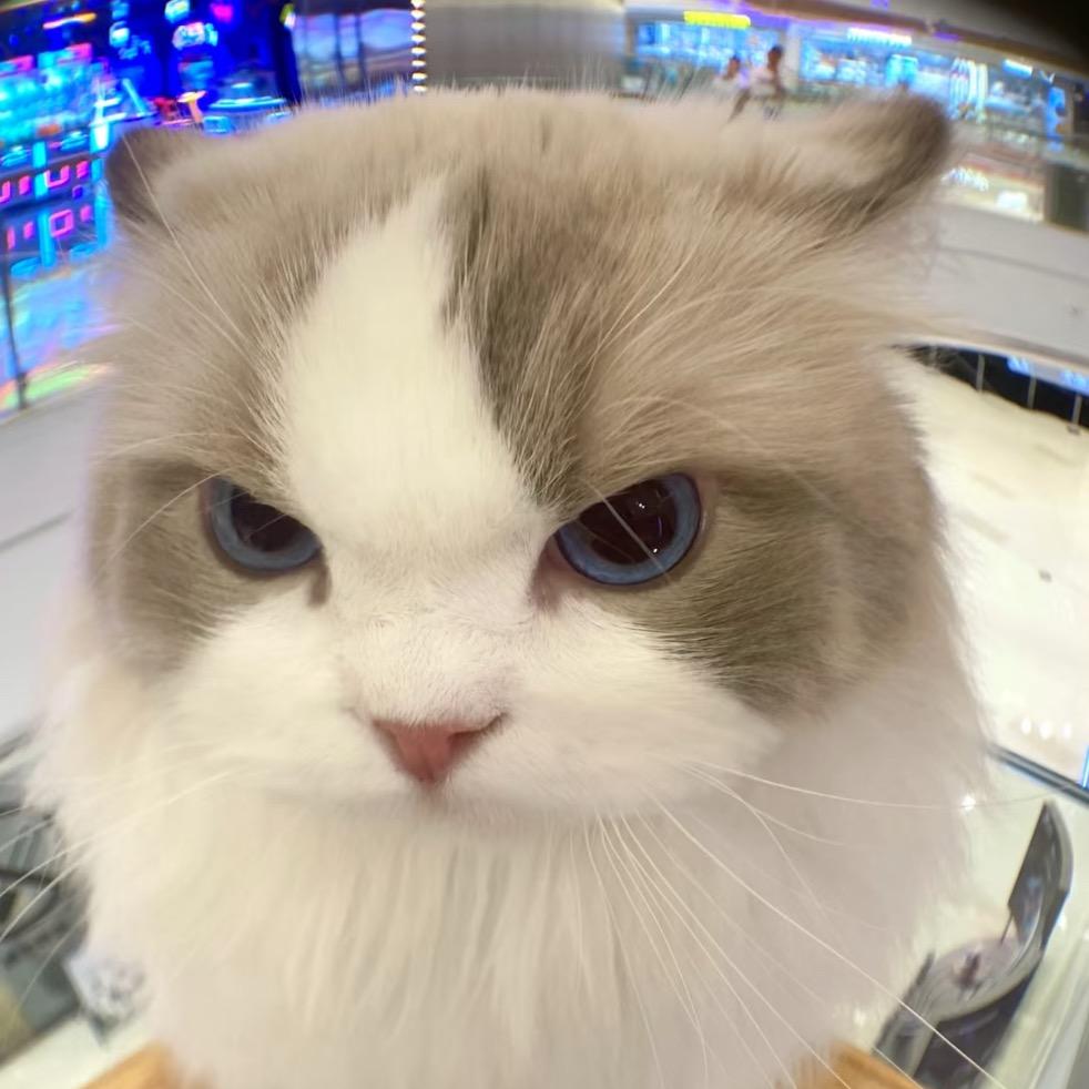 小聋瞎